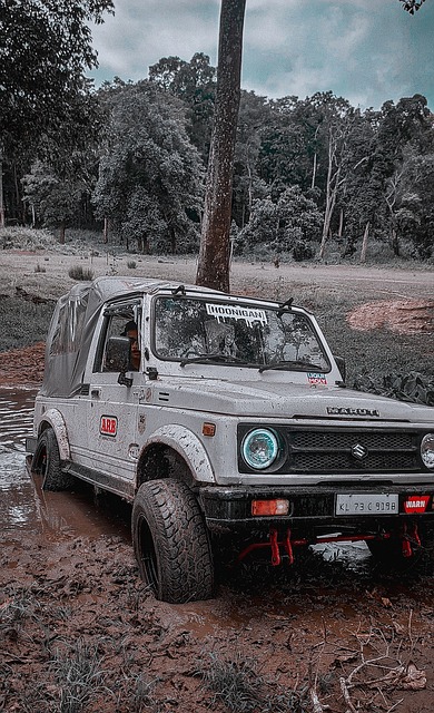 为当地的灾 为当地的灾