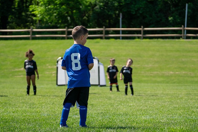 影响力！樊振东观战大谷翔平，日本媒体盛赞：最强金牌获得者.