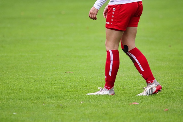 们展示了这 们展示了这