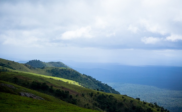 让他能在关 让他能在关