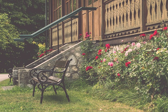 心理的双重 心理的双重