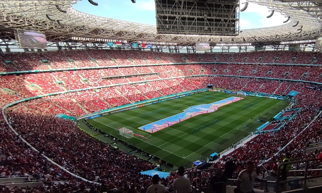 堅強的後盾 堅強的後盾