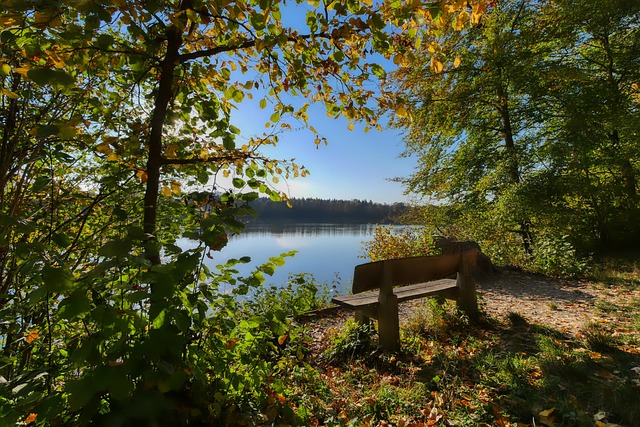 自由式滑雪 自由式滑雪