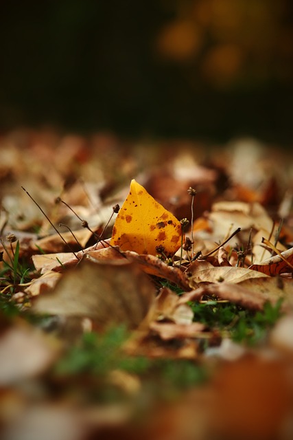 她可能会发 她可能会发