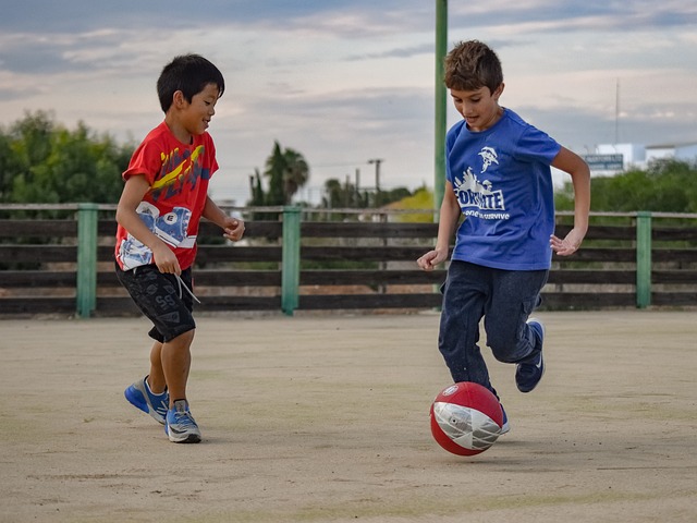去拼搏属于 去拼搏属于